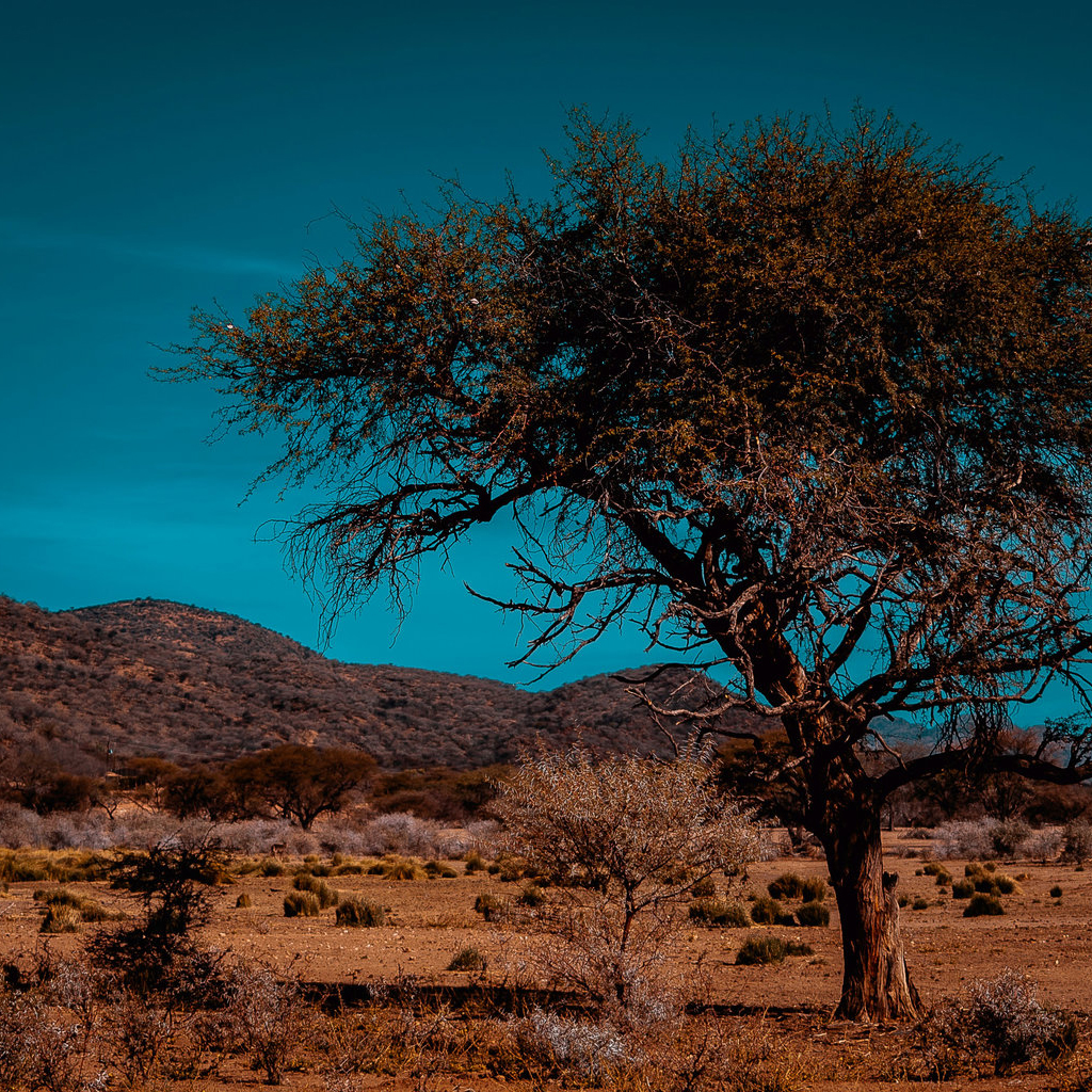 Windhoek